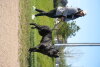 ZOEY DE PRESA FARMS
