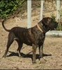 BIMBA DE CASA SENI
