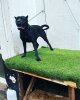 LUNA DE GORGO