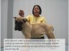 BRAVO KENNEL'S LOBO