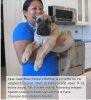 BRAVO KENNEL’S BUDDHA