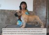 BRAVO KENNEL’S CHULO