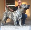 BRAVO KENNEL’S BONITO