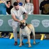 JARO CANARIKENNEL