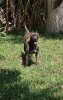 NALA DE CASA SAVASA