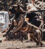 ARES DE LOS MENCEYES