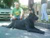 NEGRO DE RANCHO BRAVO