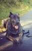 ZARA OF MPC KENNELS