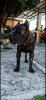 ARES M. R.