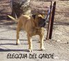 ELEGGUA DEL GAROE