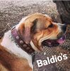TEIDE DE BALDíO'S KENNEL