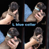 L BLUE COLLAR