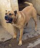 NERON DE JOSE JUAN RODRIGUEZ