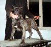 ATHOS DE LOS BALCANES