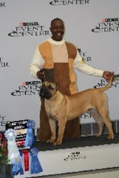 MID AMERICA K-9 BRIO