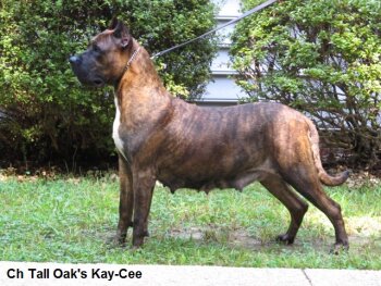 KAY-CEE OF TALL OAKS