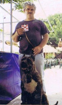 KIMBO