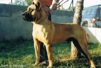 SORON DE GAREHAGUA