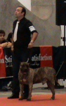 AZUFRE DEL CALABAZO