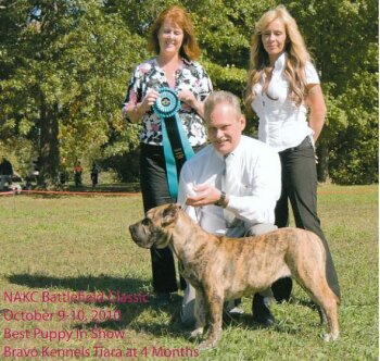 BRAVO KENNEL'S DIRECHA