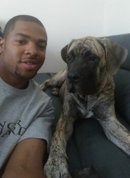 SIR! ZEUS! ALMIGHTY