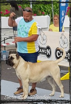CHALANA I DE SELECTA ADEJE
