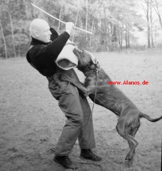 DEMONIO DE LA ARENA