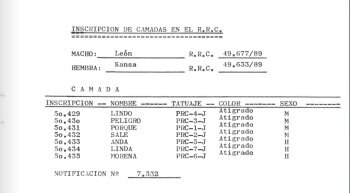 ANDA DE LOS ENANOS