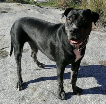 EVA (SIRA) KING ZULU