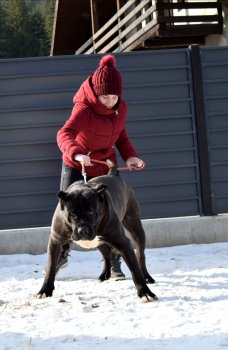 UMA DE REGANADOS KENNEL