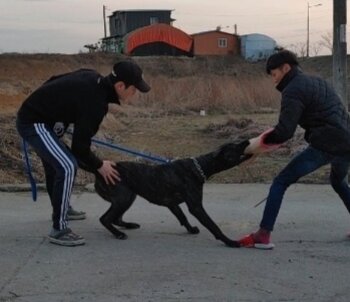 CASH