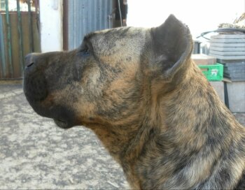 LOLA DE MARYTERE