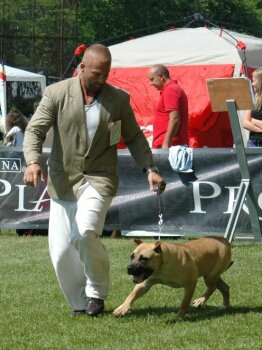 WALLENA BULLSARA DEL PEMBA (ZARA)