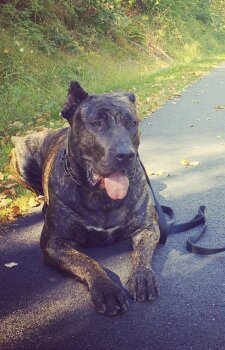 ZARA OF MPC KENNELS