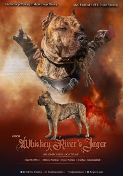WHISKEY RIVER'S JAGER