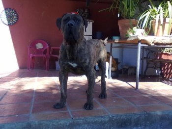 KONAN DE CASA DEL PRESA